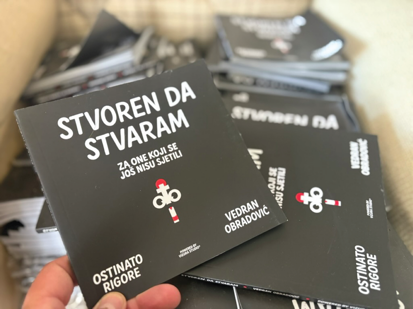Knjiga Stvoren Da Stvaram - by Vedran Obradović